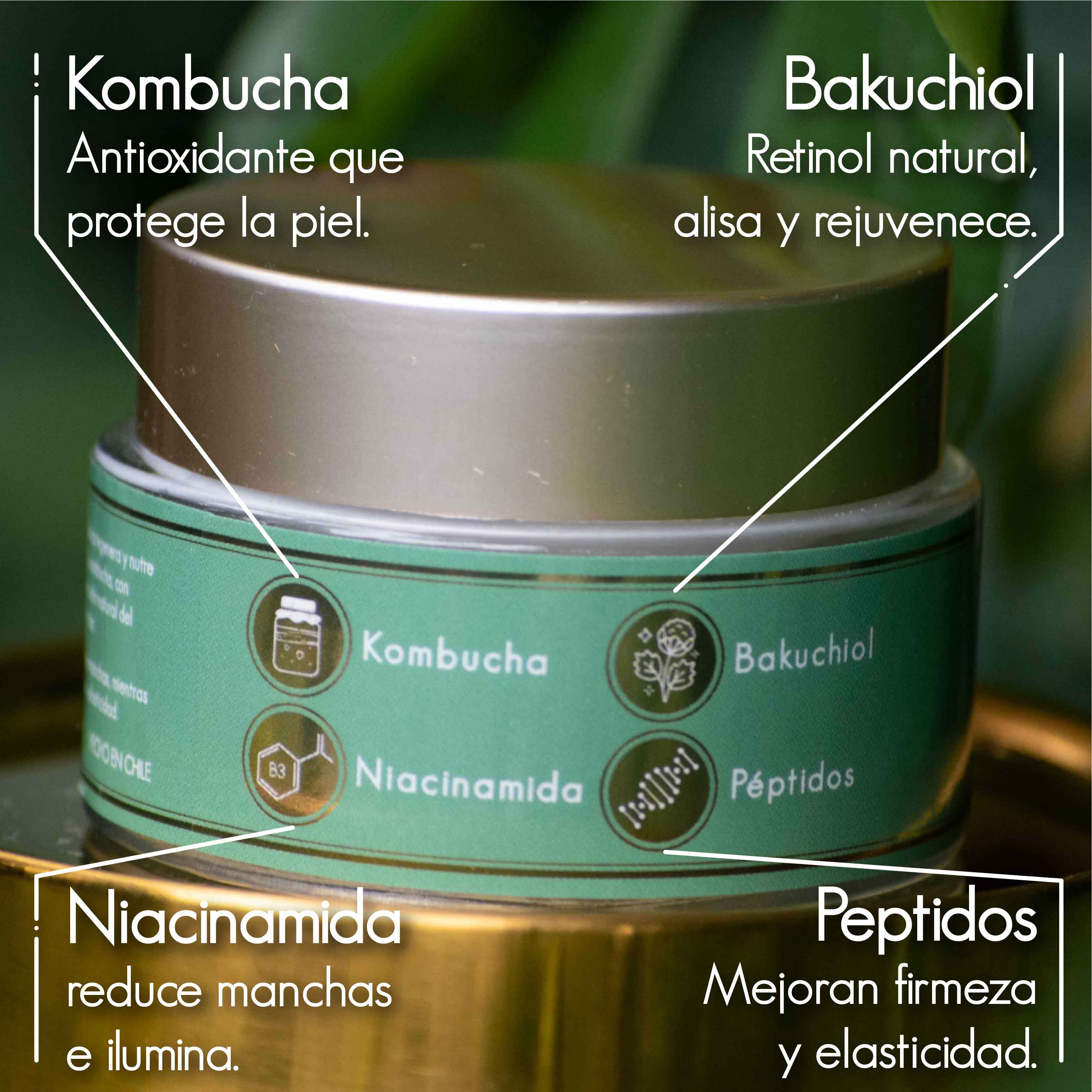 Nuevo Producto: Crema Night Repair