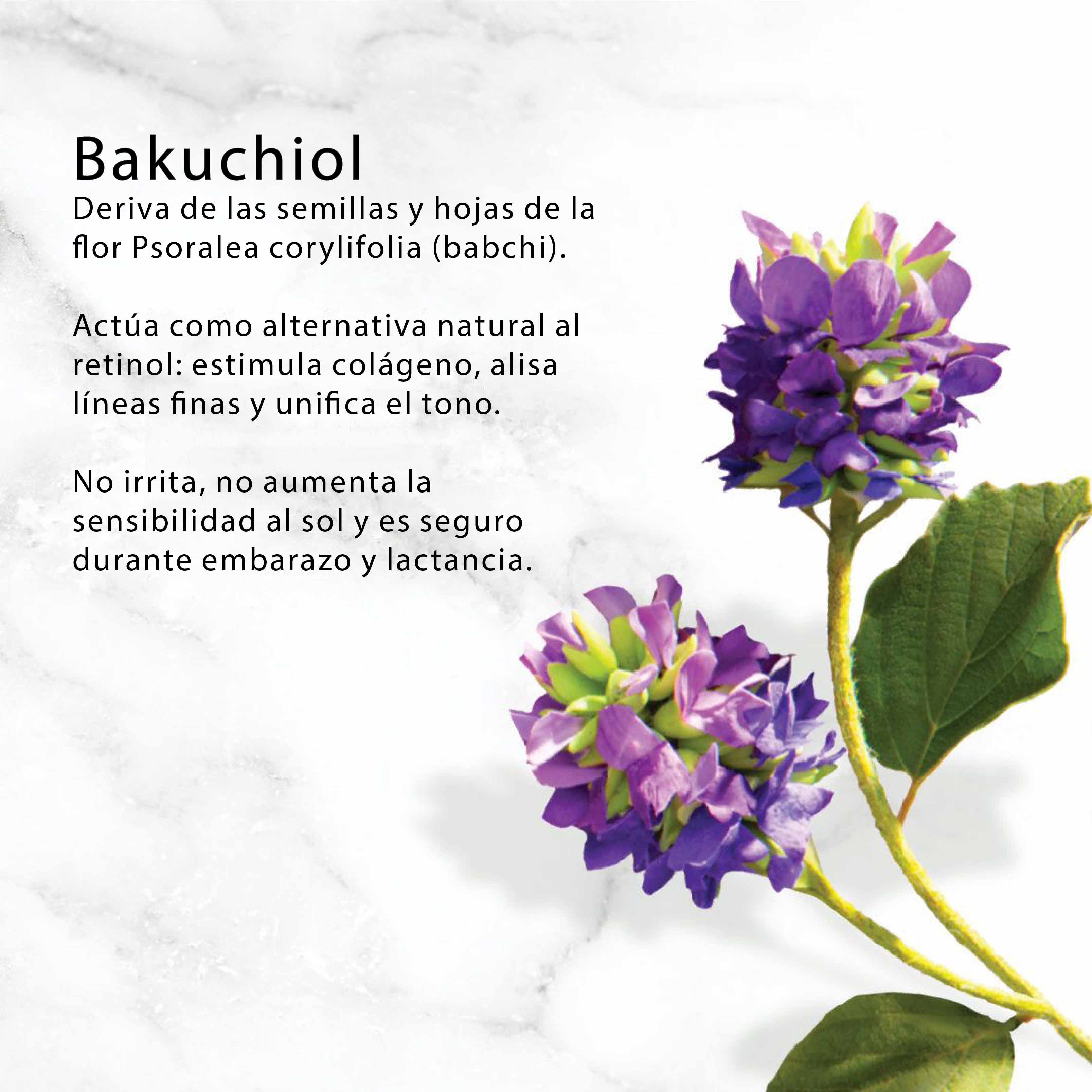 Nuevo Producto: Crema Night Repair