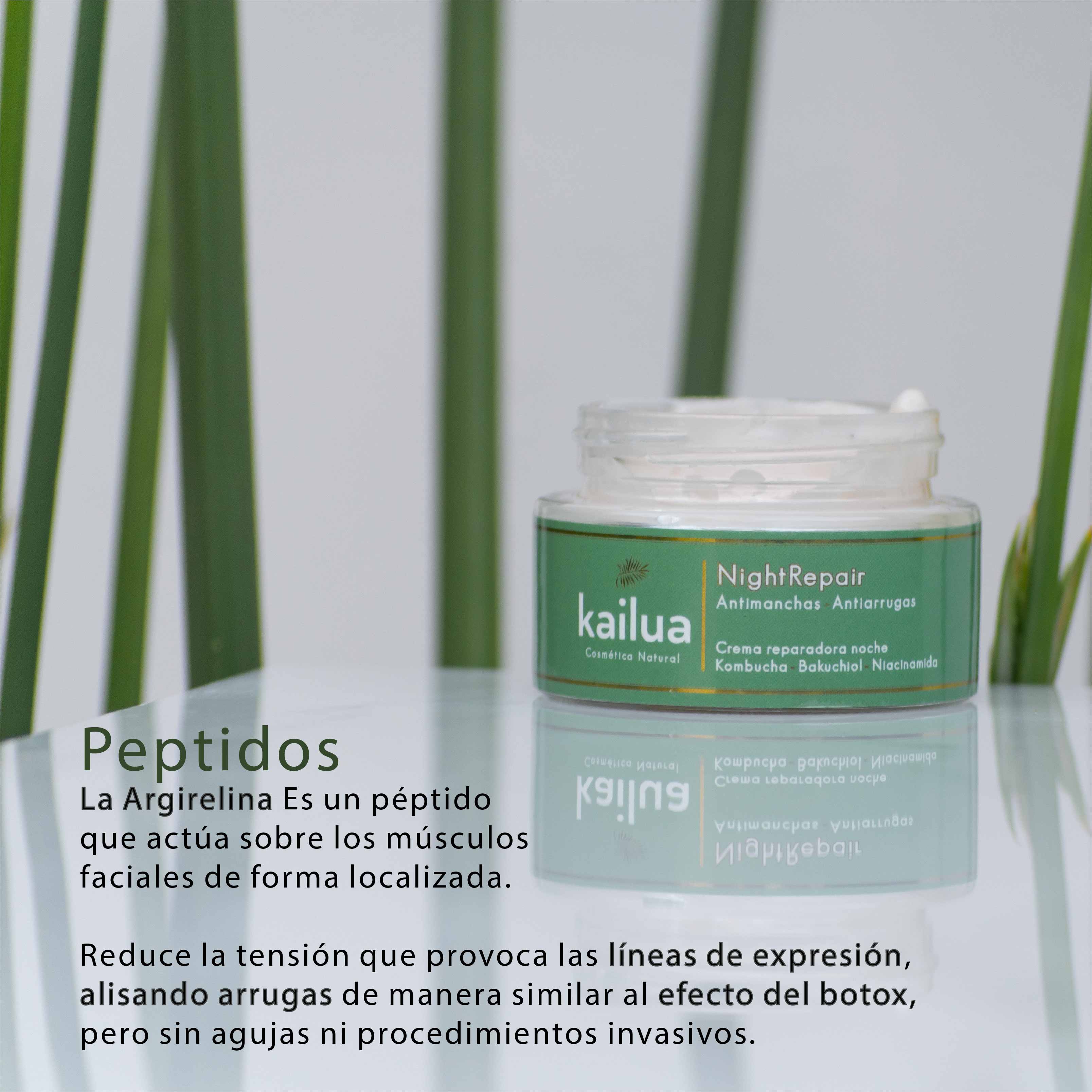 Nuevo Producto: Crema Night Repair